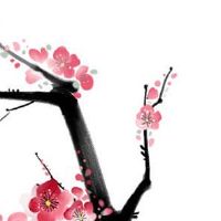 私家车牌001能用吗 001表名利双收可致富