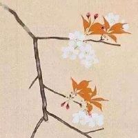 车牌119代表什么意思 最旺财运的车牌数字