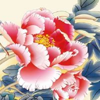 车牌尾号9好不好 好运滚滚的车牌尾数