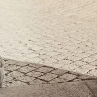 男孩取哪些字比较有内涵