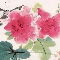 测试两个人合不合财 免费测两个人的名字合不合