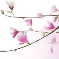 流年合夫妻宫会离婚吗 影响流年离婚的因素