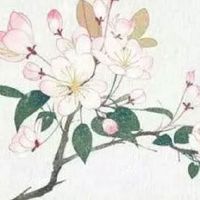 紫微斗数中强大上等的命格 决定命格高低