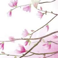 武曲星在夫妻宫真的不好吗 晚婚婚姻更容易幸福