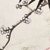 2022年5月份出生的宝宝五行缺什么 今日生人生顺遂