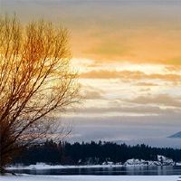 月历的异化，以及12个月的诗歌。