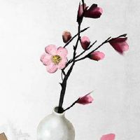 男人纹身纹什么招财 老虎纹身提升气质