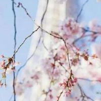 热门大气的水产公司名字 最新版企业取名大全