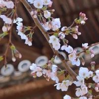 2022免费养殖公司起名 高级经典的取名推荐