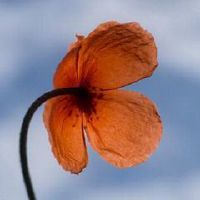 2022年有多少天，有什么特别的意义？