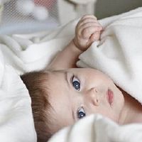 2022中国日历出生的老虎八宝？在2022年，七月是哪一天最好的？