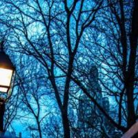 2019年，一只绵羊是几年的。 2019年羊的人多大了？