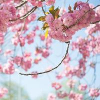 通常，这不仅仅是我心中有重要的。