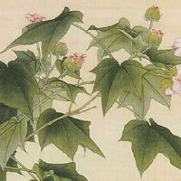 八字测另一半的相貌超准 地支在子另一半人气高