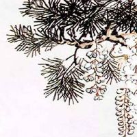 今年小满交节时刻为5月20日22时36分吗