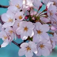 养殖场起什么名字发大财 最新版养殖场取名推荐