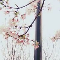 养殖场名字怎么取 精选吉利的公司起名