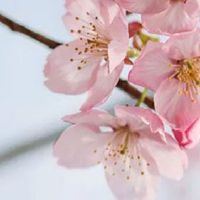 2022新开的养殖场名称 个性的养殖场起名推荐