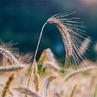 2022六年三三三三三三三三三三三三三