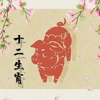 83年猪39岁后十年大运运程 总体运势波动感情稳定