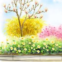 属虎的今年适合佩戴什么首饰 生肖虎戴本命佛万事胜意