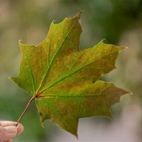 判断占星术2022 4月星座财富