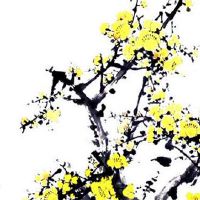 属虎的戴什么首饰最好 属虎女戴桃木梳转运