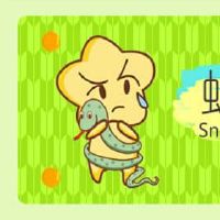 黄道带配有蛇兔。