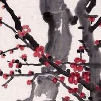 紫微斗数看女人美貌 太阴星入命宫气质绝佳