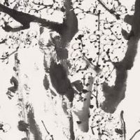 哪些痣是福痣 下巴长痣主财富