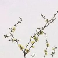 能生贵子的母亲的面相 命中有贵子的女人特征