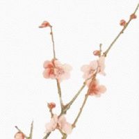 富豪的面相特征 双眼有神容易富贵连绵