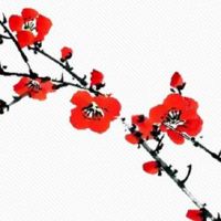 2022年8月11日五行看穿衣,今日穿衣幸运色盘点