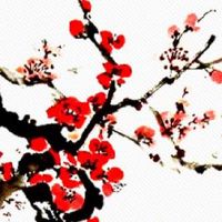 今日五行穿衣色查询:2022年8月13日幸运色指南