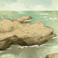 猴子和蛇的混合物如何？