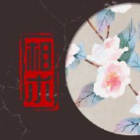 聪明的女人面对眉毛上方的耳朵的耳朵