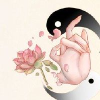 哪个时间是新忠的时候，这是一个好帖子吗？