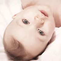 在2022年初出生的老虎宝宝以其名称而闻名。