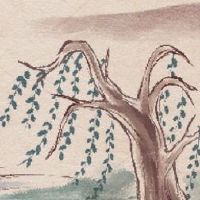 女孩在2022年出生如何？