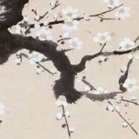 免费紫微斗数命盘详解 本命宫为十二宫核心