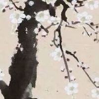 九斗一簸箕的女人婚姻命运 10簸箕吸人眼球