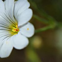 AUN，女巫，2022年4月，星座