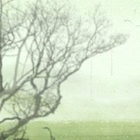 山谷雨和鼻子和伤害学生学会吃喝这些食物。