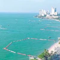 2019年，一只鸡是今年有多少钱，鸡的人民于2019年几年？