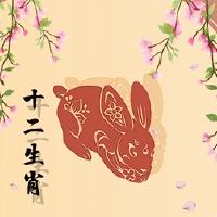 在第75届，兔子婚姻是兔子婚姻