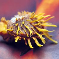 4月2022年4月的氧气