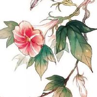 谁是12星座老大 最具有自信心的星座有你吗