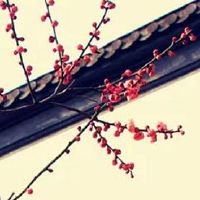 2022年属猴人在4月的幸运数字和颜色查询 数字8利财白色旺事业