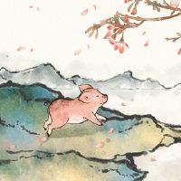 4月份的猪命运如何，斯迪，一位高级，