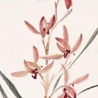 紫微斗数看配偶外形 太阴星龙池凤阁同宫配偶气质优雅